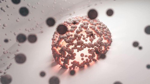 Health Science Discoveries Changing How We Live