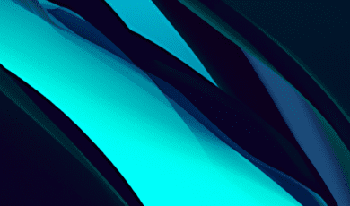 Africa in Motion from Desert Dunes to Jungle Trails